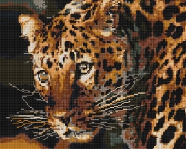 Алмазные мозаики 40x50 - GF2327 - Алмазные мозаики 40x50 - GF2327