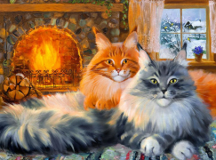 Картина по номерам на холсте и подрамнике 40х50 см