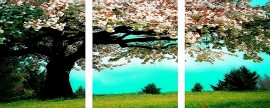 Триптихи 40x50 - Японская вишня - Триптихи 40x50 - Японская вишня
