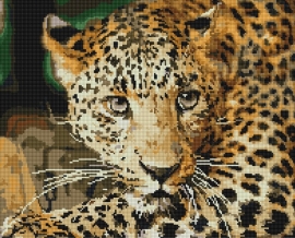 Алмазные мозаики 40x50 - GF2328 - Алмазные мозаики 40x50 - GF2328