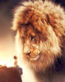 Картина по номерам на холсте и подрамнике 40х50 см - Картина по номерам на холсте и подрамнике 40х50 см