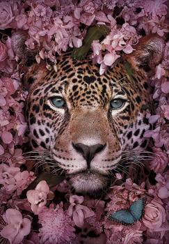 Алмазная мозаика на подрамнике 40х50