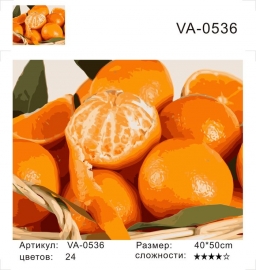 VA-0536 - VA-0536