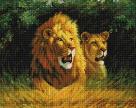 Алмазные мозаики 40x50 - GF233 - Алмазные мозаики 40x50 - GF233