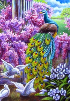 Картина по номерам на холсте и подрамнике 40х50 см